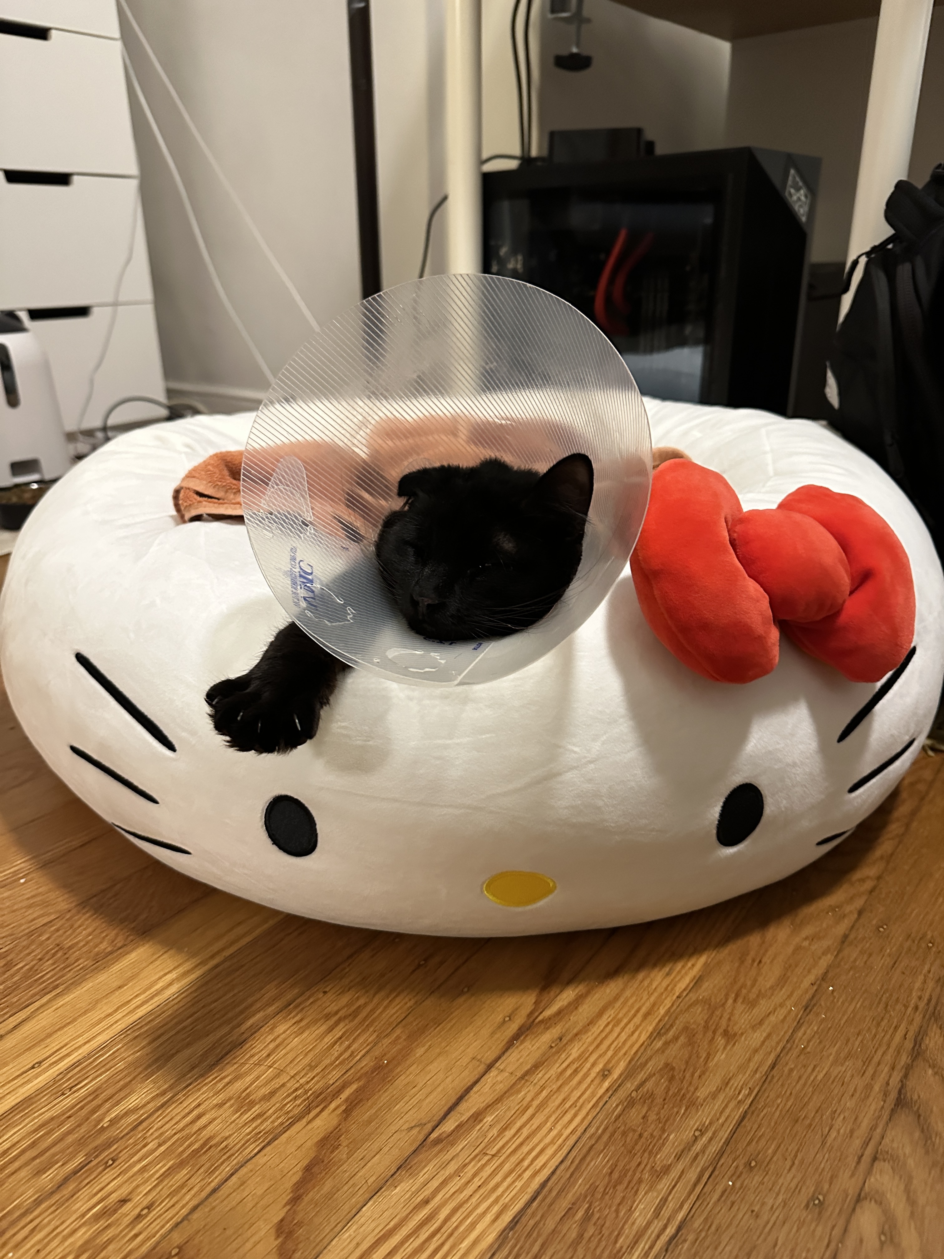 miso
